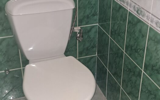 Pronájem bytu 1+1, 47 m² – Praha, Braník, ulice Zemanka