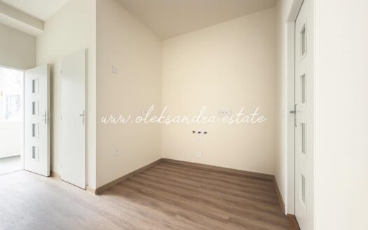 Prodej bytu 1+1, 39 m² – Praha, Žižkov, ulice Husitská