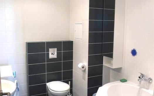 Pronájem bytu 4+kk, 234 m² – Praha, Suchdol, ulice Holubí