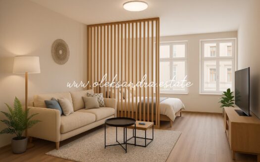 Prodej bytu 1+1, 39 m² – Praha, Žižkov, ulice Husitská