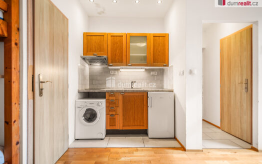 Prodej bytu 1+kk, 19 m² – Praha, Žižkov, ulice Milíčova