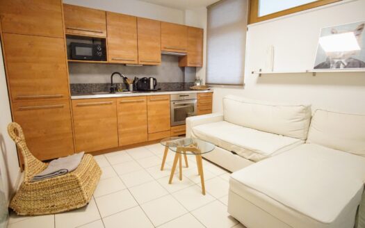 Prodej bytu 2+1, 55 m² – Praha, Žižkov, ulice Štítného