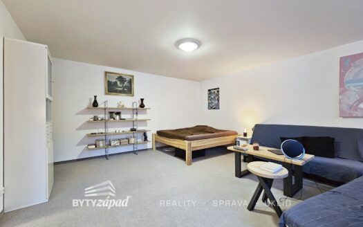 Pronájem bytu 1+1, 50 m² – Praha, Smíchov, ulice Tomkova