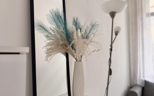 Pronájem bytu 2+1, 40 m² – Praha, Nové Město, ulice Krakovská