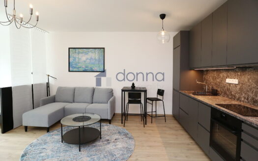 Pronájem bytu 1+kk, 38 m² – Praha, Karlín, ulice U Sluncové