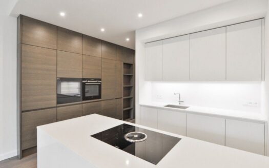 Pronájem bytu 3+kk, 95 m² – Praha, Vinohrady, ulice Laubova