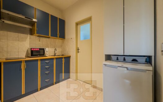 Pronájem bytu 1+kk, 28 m² – Praha, Vršovice, ulice Petrohradská