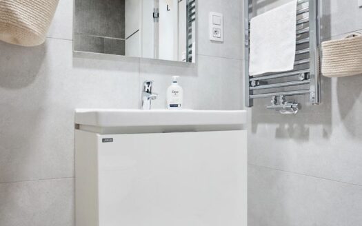 Pronájem bytu 1+kk, 43 m² – Praha, Žižkov, ulice Malešická