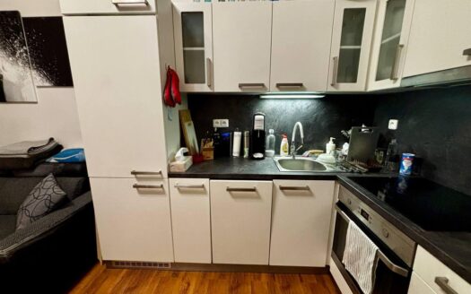 Pronájem bytu 3+kk, 70 m² – Praha, Žižkov, ulice Hartigova