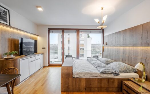 Pronájem bytu 1+kk, 35 m² – Praha, Holešovice, ulice V háji