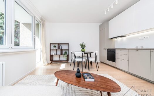 Prodej bytu 4+kk, 88 m² – Praha, Žižkov, ulice U kněžské louky