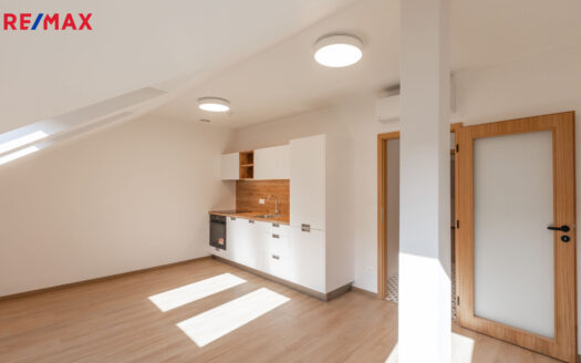 Pronájem bytu 2+kk, 49 m² – Praha, Karlín, ulice Křižíkova