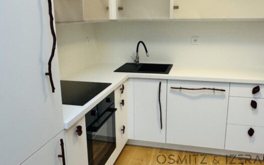 Pronájem bytu 2+kk, 49 m² – Praha, Nusle, ulice Vrtbova