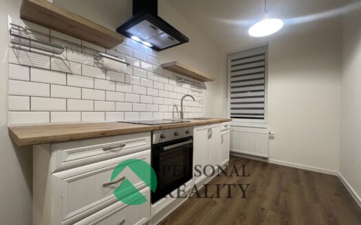 Pronájem bytu 1+1, 40 m² – Praha, Žižkov, ulice Na mokřině