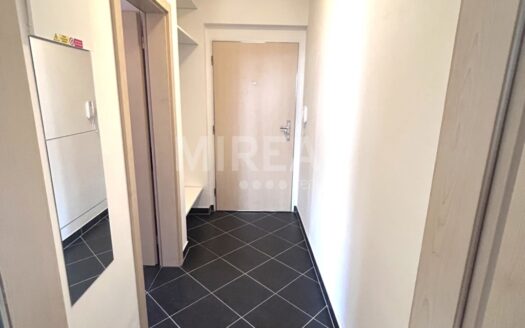 Pronájem bytu 1+kk, 38 m² – Praha, Horní Měcholupy, ulice Hornoměcholupská