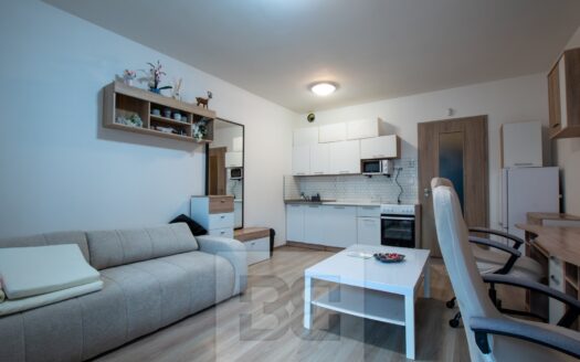 Pronájem bytu 1+kk, 31 m² – Praha, Horní Měcholupy, ulice Mantovská