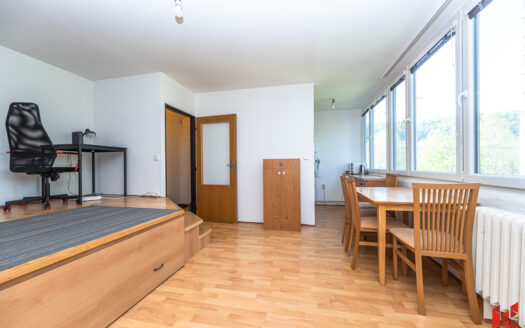 Pronájem bytu 1+kk, 28 m² – Praha, Karlín, ulice Nekvasilova