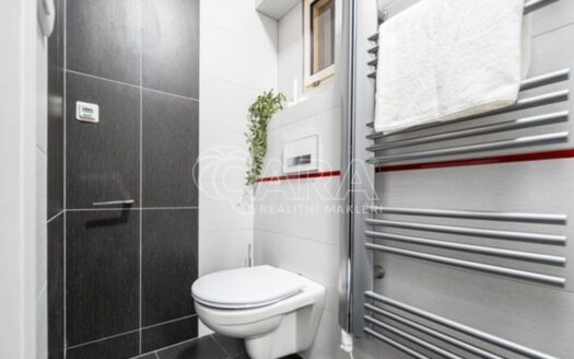 Pronájem bytu 1+1, 38 m² – Praha, Podolí, ulice Na Zlatnici