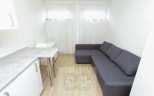 Pronájem bytu 1+kk, 21 m² – Praha, Krč, ulice Budějovická