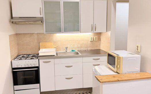 Pronájem bytu 2+kk, 55 m² – Praha, Žižkov, ulice Biskupcova