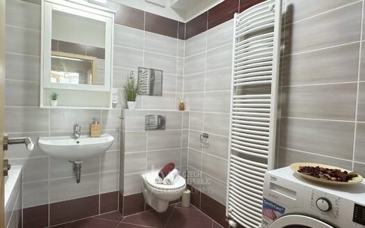Pronájem bytu 1+kk, 24 m² – Praha, Horní Měcholupy, ulice Mantovská