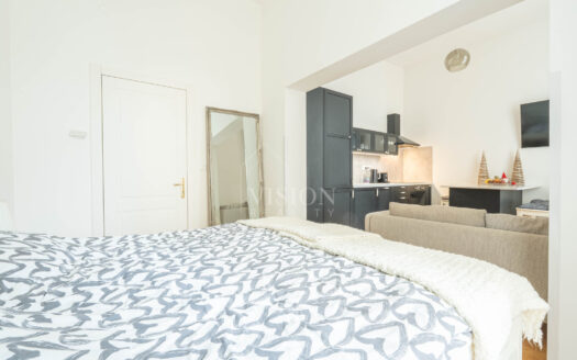 Prodej bytu 1+kk, 34 m² – Praha, Vinohrady, ulice Rubešova