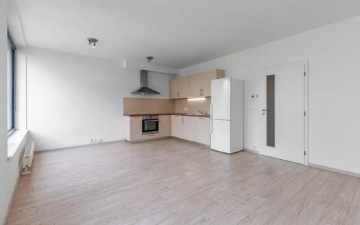 Pronájem bytu 1+kk, 38 m² – Praha, Karlín, ulice Sokolovská