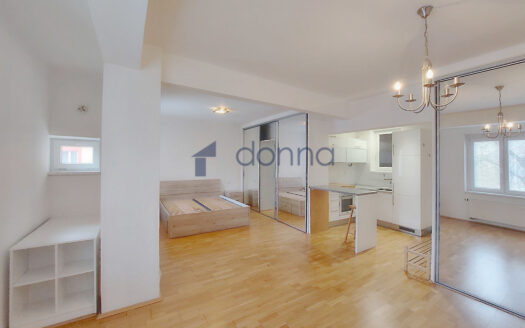 Pronájem bytu 1+kk, 47 m² – Praha, Žižkov, ulice Viklefova