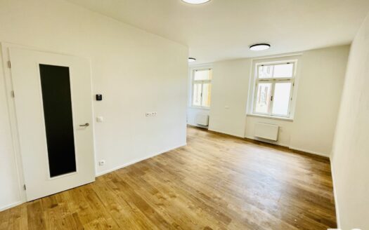 Pronájem bytu 2+kk, 47 m² – Praha, Smíchov, ulice Svornosti