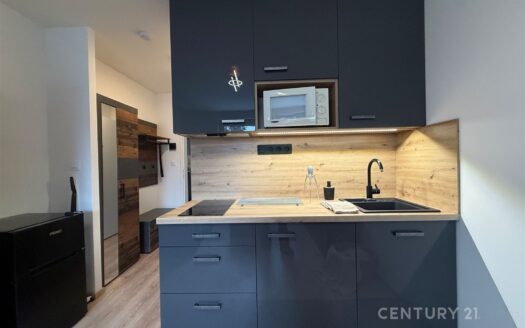 Pronájem bytu 1+kk, 19 m² – Praha, Vršovice, ulice Kubánské náměstí