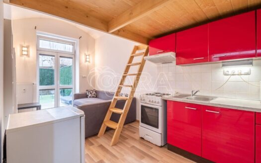 Pronájem bytu 1+kk, 45 m² – Praha, Libeň, ulice Pod Labuťkou
