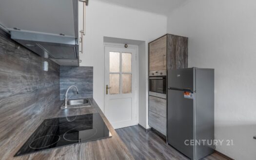 Pronájem bytu 1+1, 39 m² – Praha, Braník, ulice Nad malým mýtem