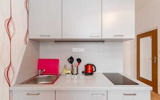 Pronájem bytu 1+kk, 18 m² – Praha, Nusle, ulice Na Jezerce