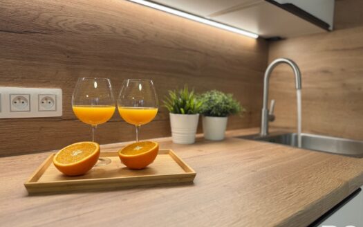 Pronájem bytu 1+kk, 43 m² – Praha, Žižkov, ulice Basilejské náměstí