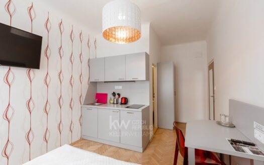 Pronájem bytu 1+kk, 18 m² – Praha, Nusle, ulice Na Jezerce