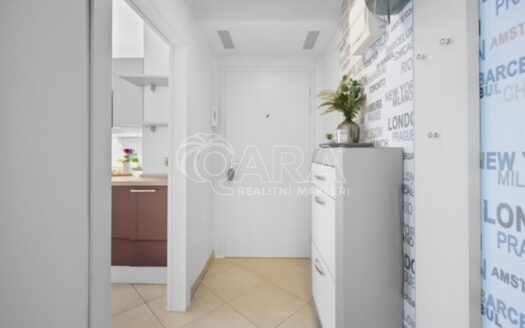 Pronájem bytu 1+1, 38 m² – Praha, Podolí, ulice Na Zlatnici