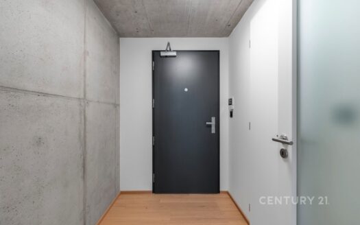 Pronájem bytu 3+kk, 66 m² – Praha, Vysočany, ulice Kolbenova