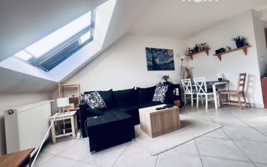 Pronájem bytu 2+kk, 45 m² – Praha, Žižkov, ulice Ševčíkova