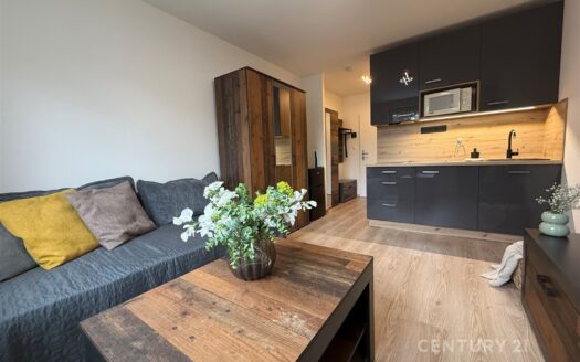 Pronájem bytu 1+kk, 19 m² – Praha, Vršovice, ulice Kubánské náměstí