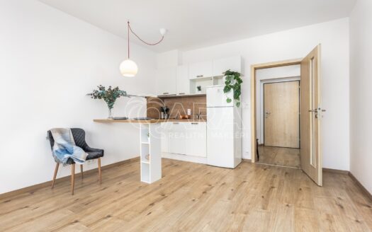 Pronájem bytu 1+kk, 12 m² – Praha, Stodůlky, ulice Holýšovská