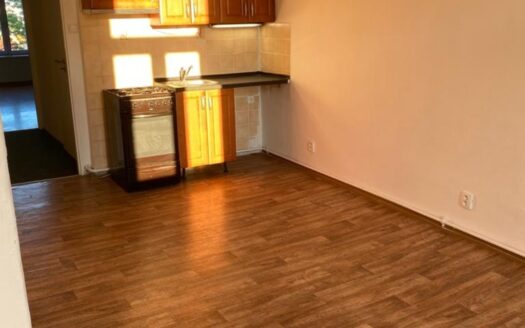 Pronájem bytu 2+kk, 49 m² – Praha, Vysočany, ulice Freyova