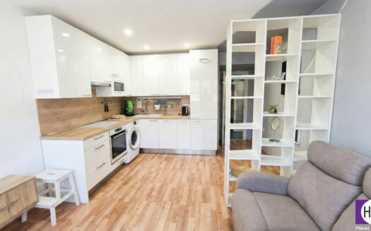 Pronájem bytu 2+kk, 36 m² – Praha, Žižkov, ulice Žižkov