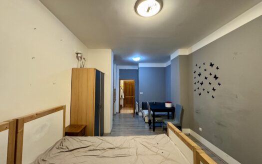 Pronájem bytu 1+kk, 30 m² – Praha, Vršovice, ulice Donská