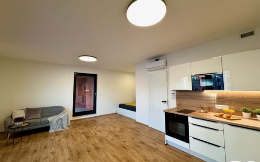 Pronájem bytu 1+kk, 43 m² – Praha, Žižkov, ulice Basilejské náměstí