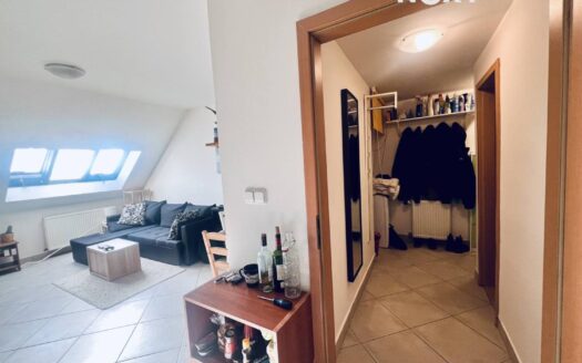 Pronájem bytu 2+kk, 45 m² – Praha, Žižkov, ulice Ševčíkova