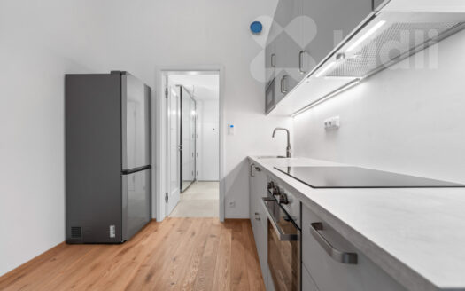 Pronájem bytu 1+kk, 41 m² – Praha, Nusle, ulice Nusle