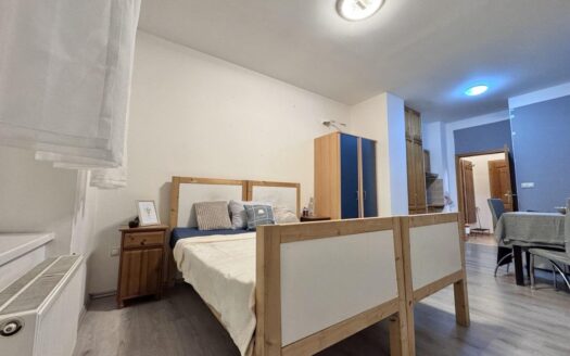 Pronájem bytu 1+kk, 30 m² – Praha, Vršovice, ulice Donská