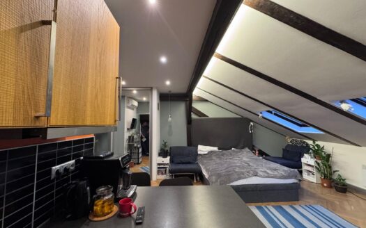 Prodej bytu 1+kk, 45 m² – Praha, Vinohrady, ulice Sázavská