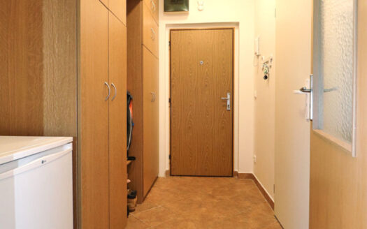 Pronájem bytu 1+kk, 45 m² – Praha, Horní Počernice, ulice Ve žlíbku