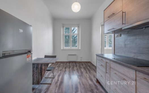 Pronájem bytu 1+1, 39 m² – Praha, Braník, ulice Nad malým mýtem